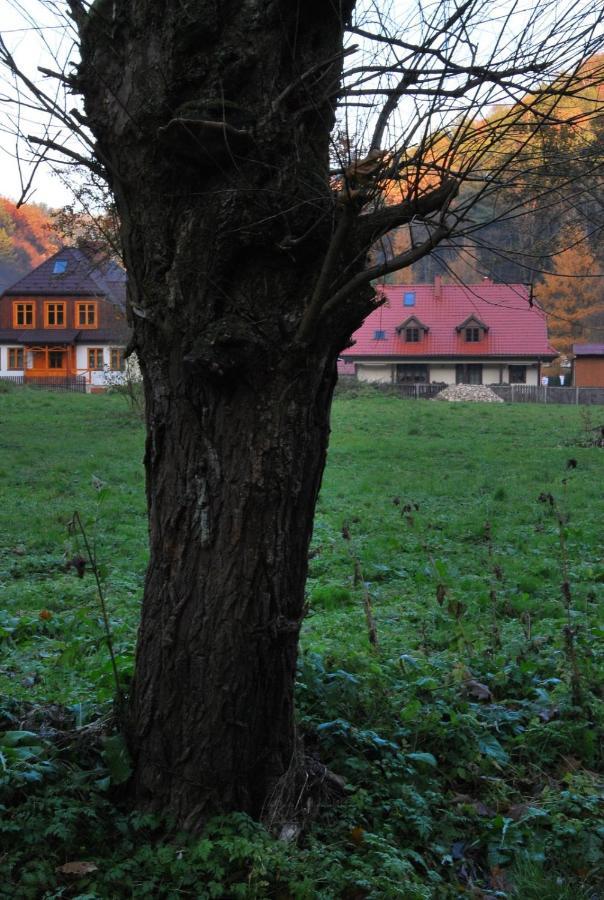 Goscinne U Grazyny Ojcow