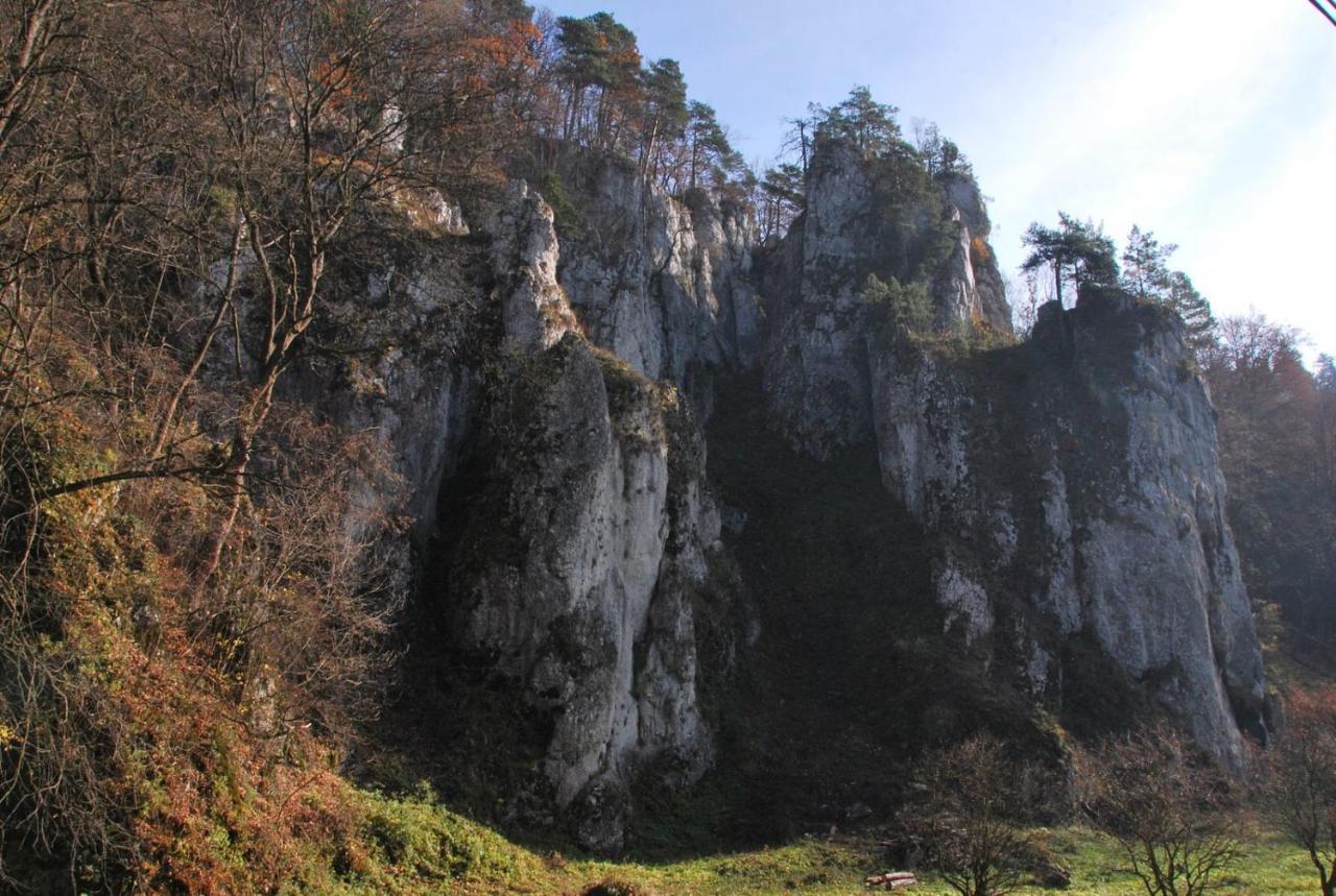 Privatunterkunft Goscinne U Grazyny