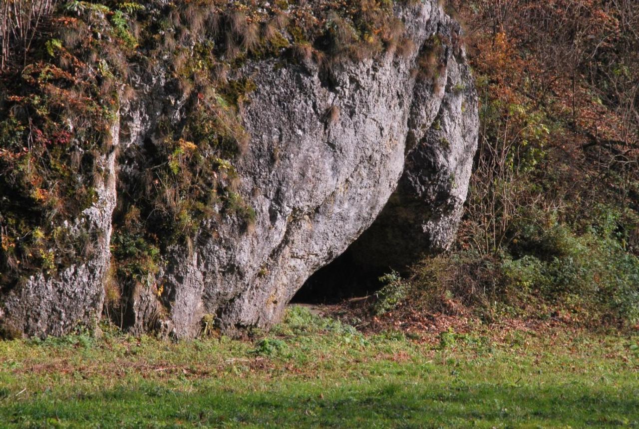 Goscinne U Grazyny Privatunterkunft Ojcow